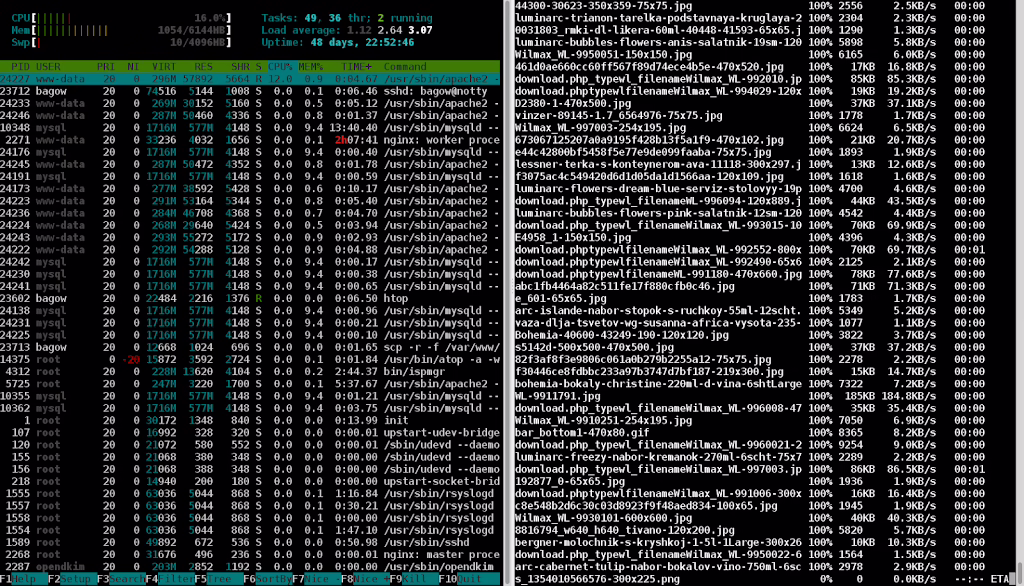 Migrating a Website from the Terminal